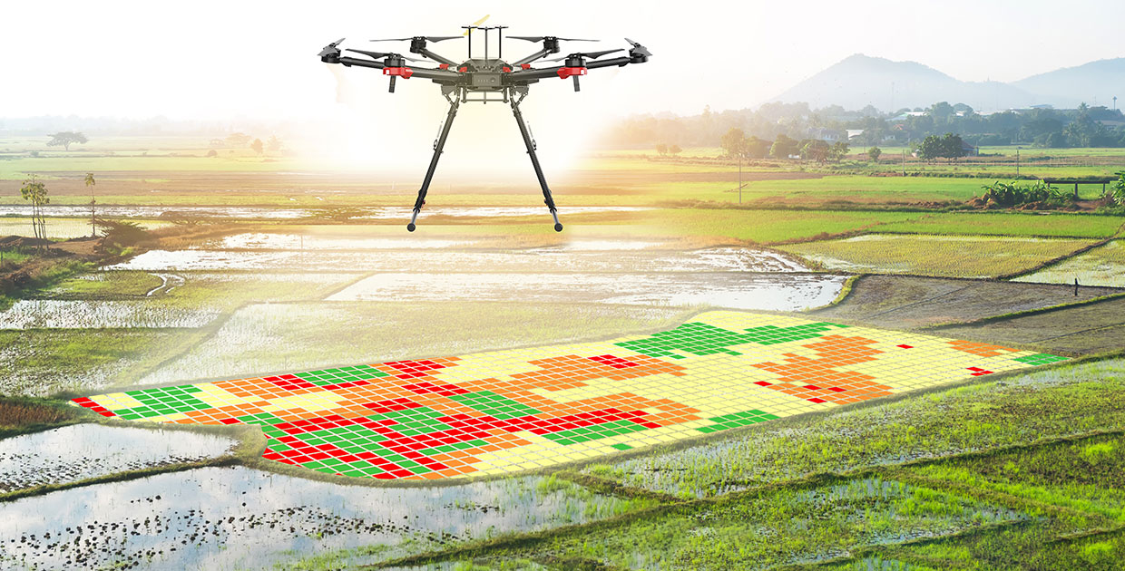 Nueva plataforma de tecnología digital ayudará al agro costarricense