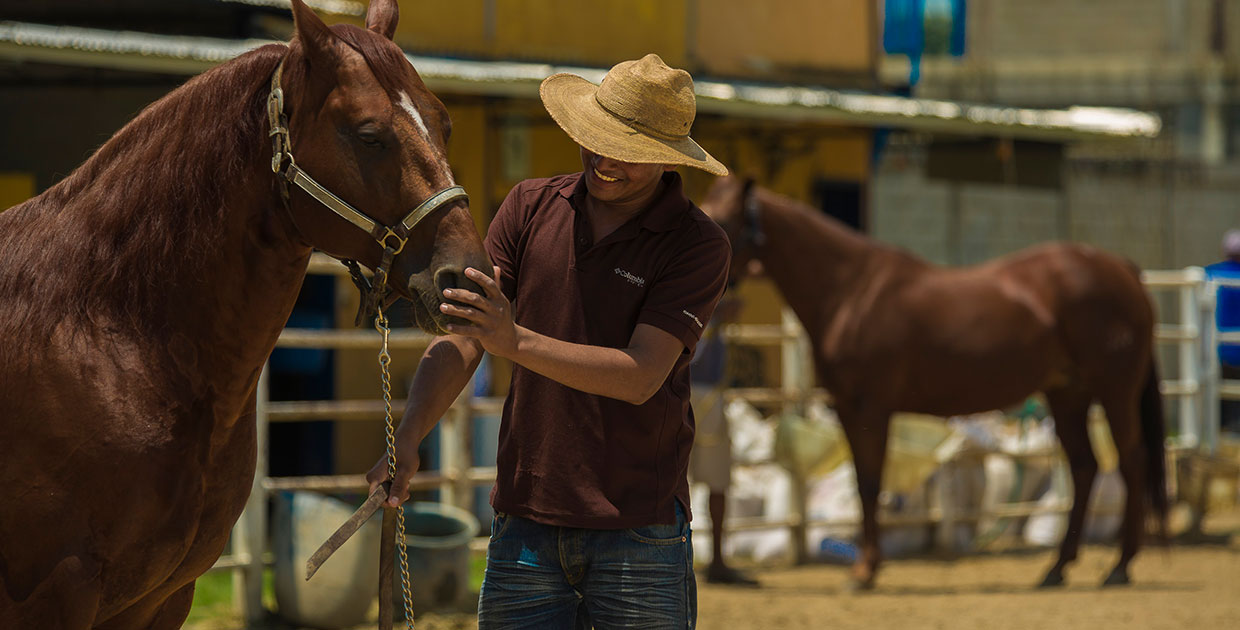 La experiencia de Cargill también ha impactado en la alimentación de los animales de granja
