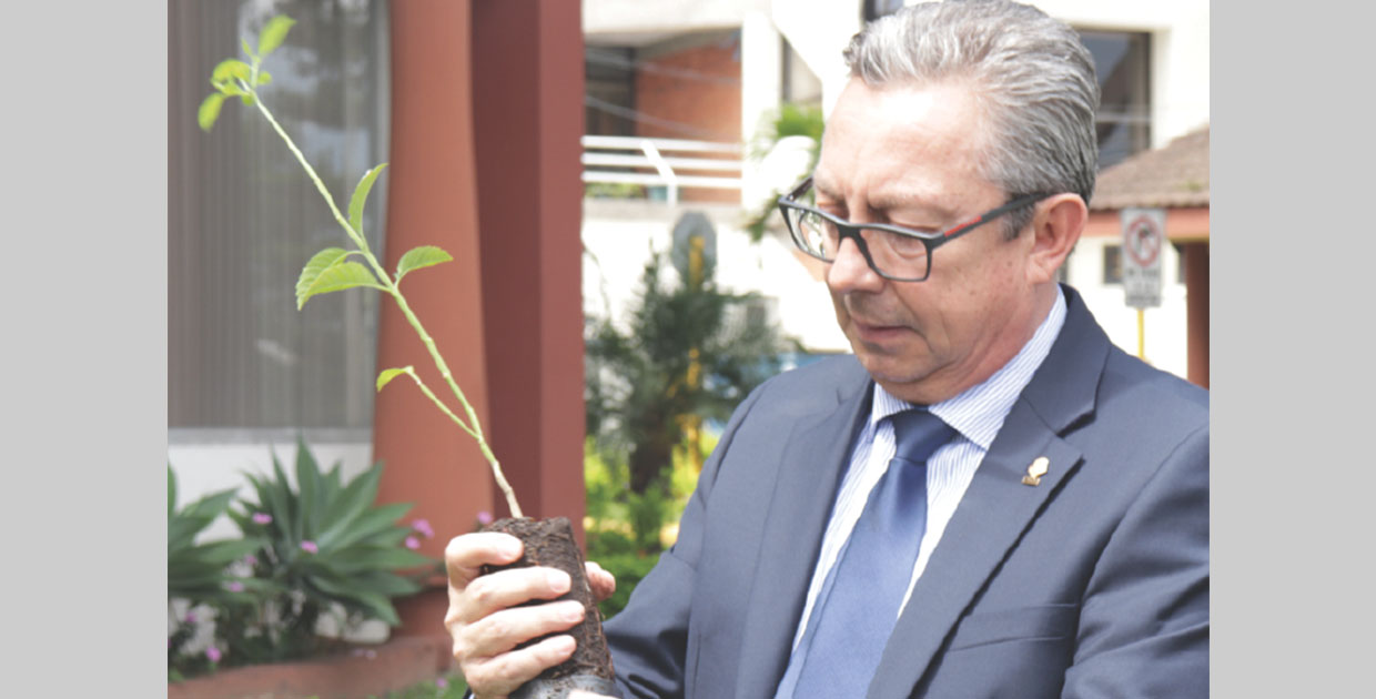 Colegio de Abogados y abogadas de Costa Rica, Pionero en su área