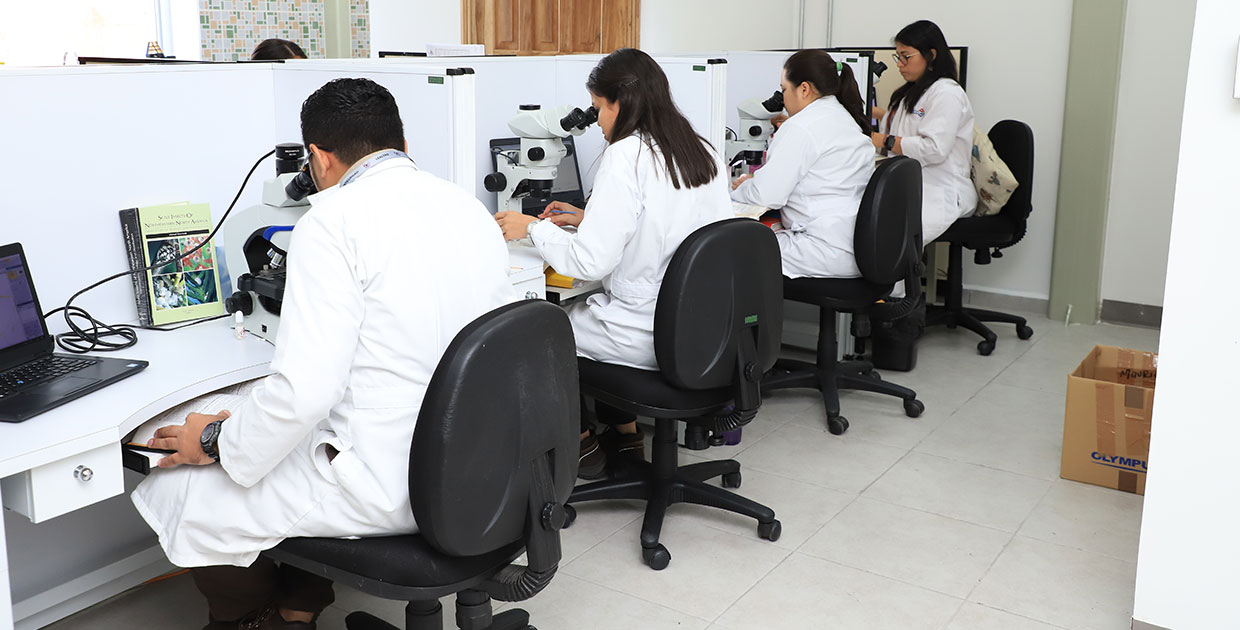 Inauguran laboratorio de diagnóstico fitosanitario en Puerto Cortés, Honduras