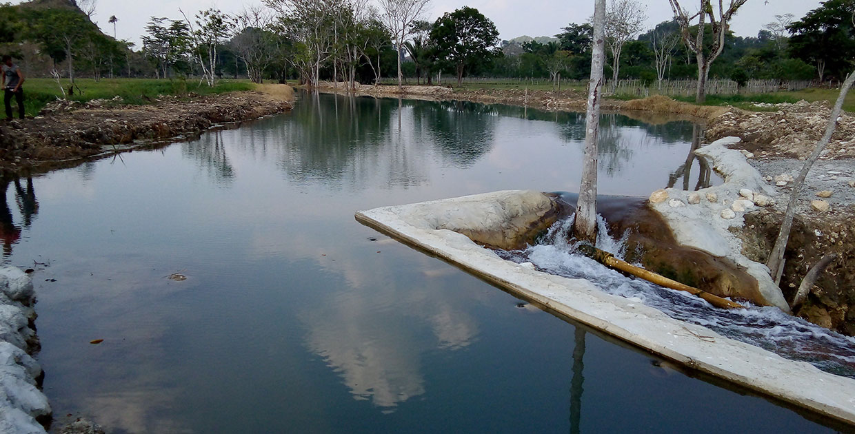 Empresa ecuatoriana pone la mirada en Centroamérica