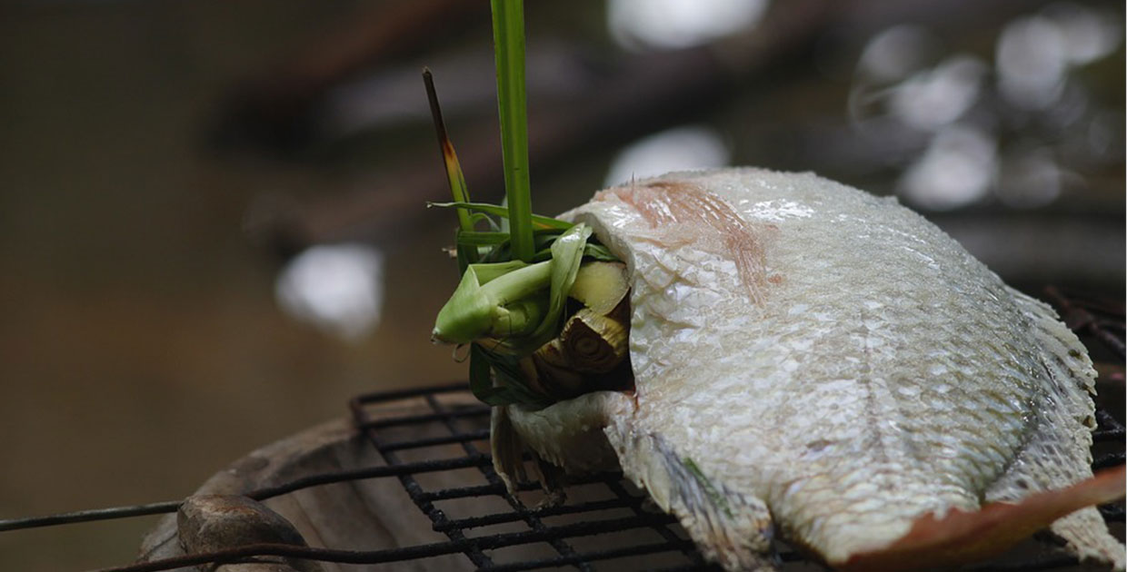 Honduras  mantiene el liderato en exportaciones de tilapia a Estados Unidos