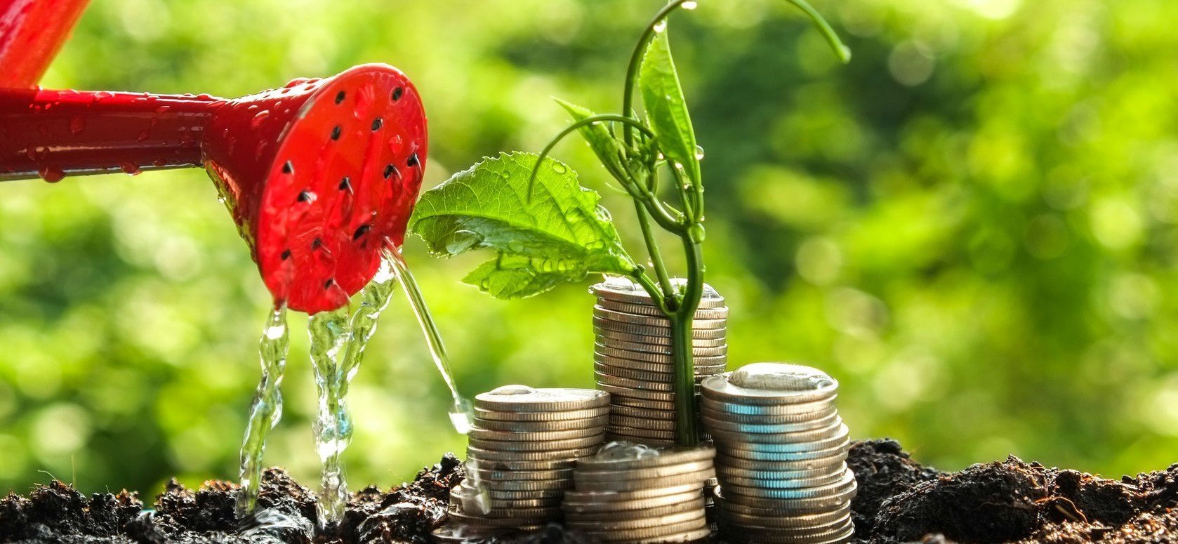 Sostenibilidad Rentable para las empresas