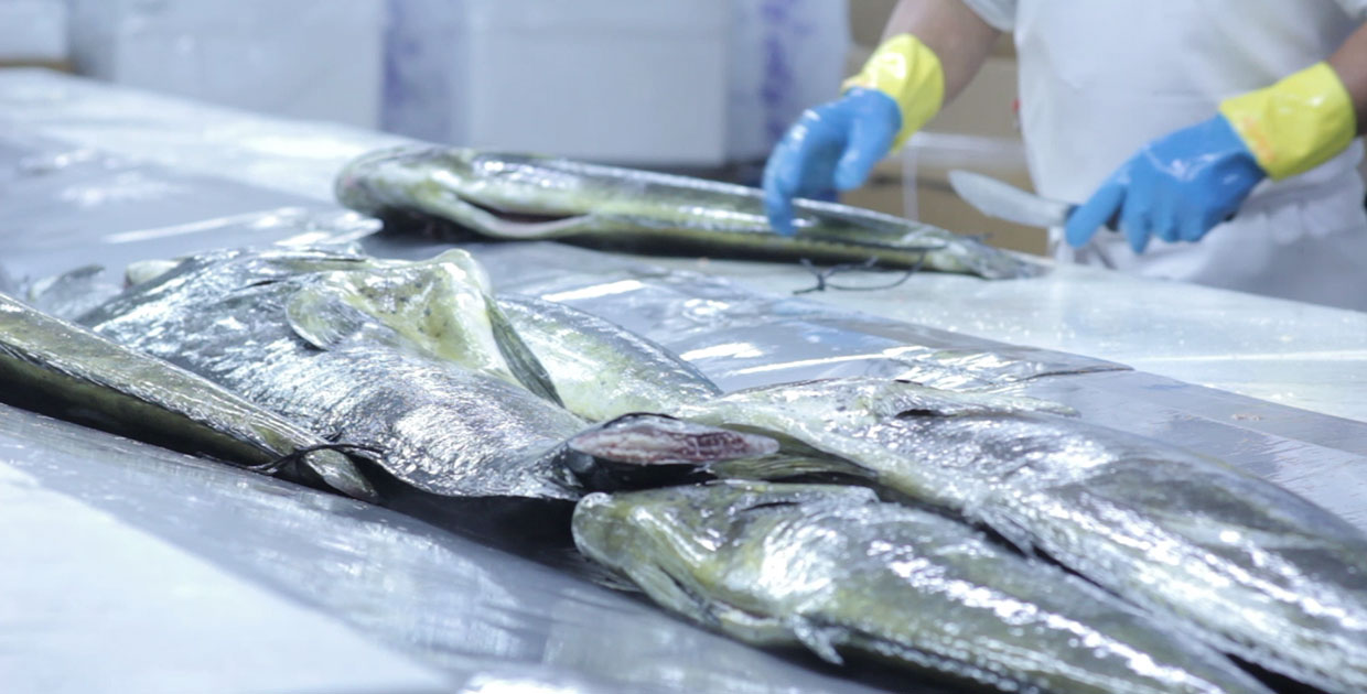 Costa Rica lanza su primer proyecto de mejoramiento pesquero