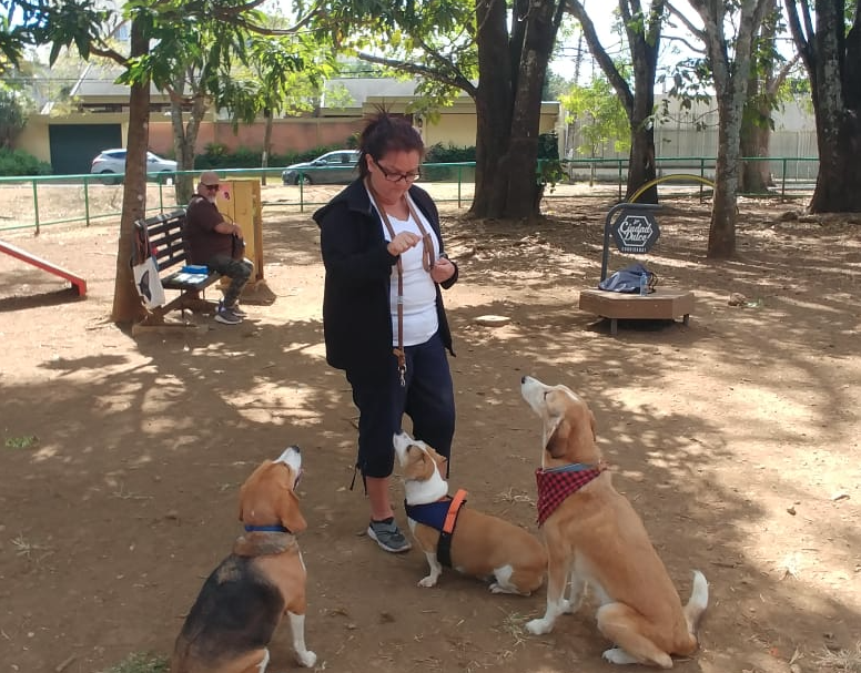 AulaPet: innovador programa desarrolla habilidades de liderazgo utilizando perros como motivadores