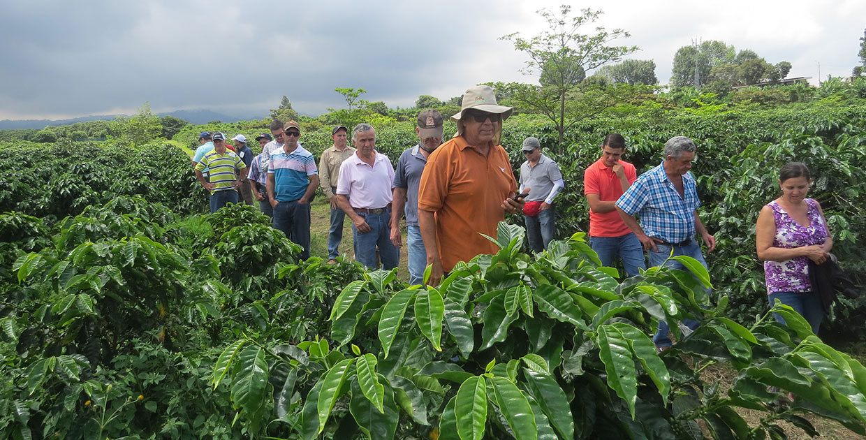 Cambio climático pone en riesgo la salud de más del 70% de los trabajadores