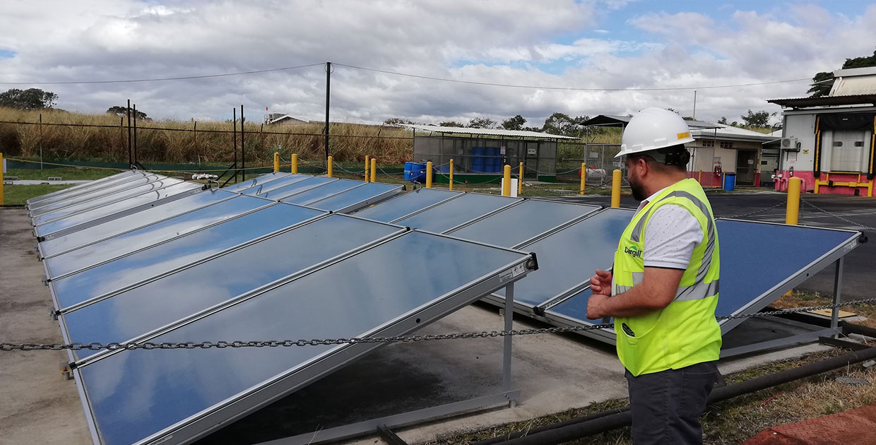 Energía solar es una aliada de Cargill en una de sus plantas en Costa Rica