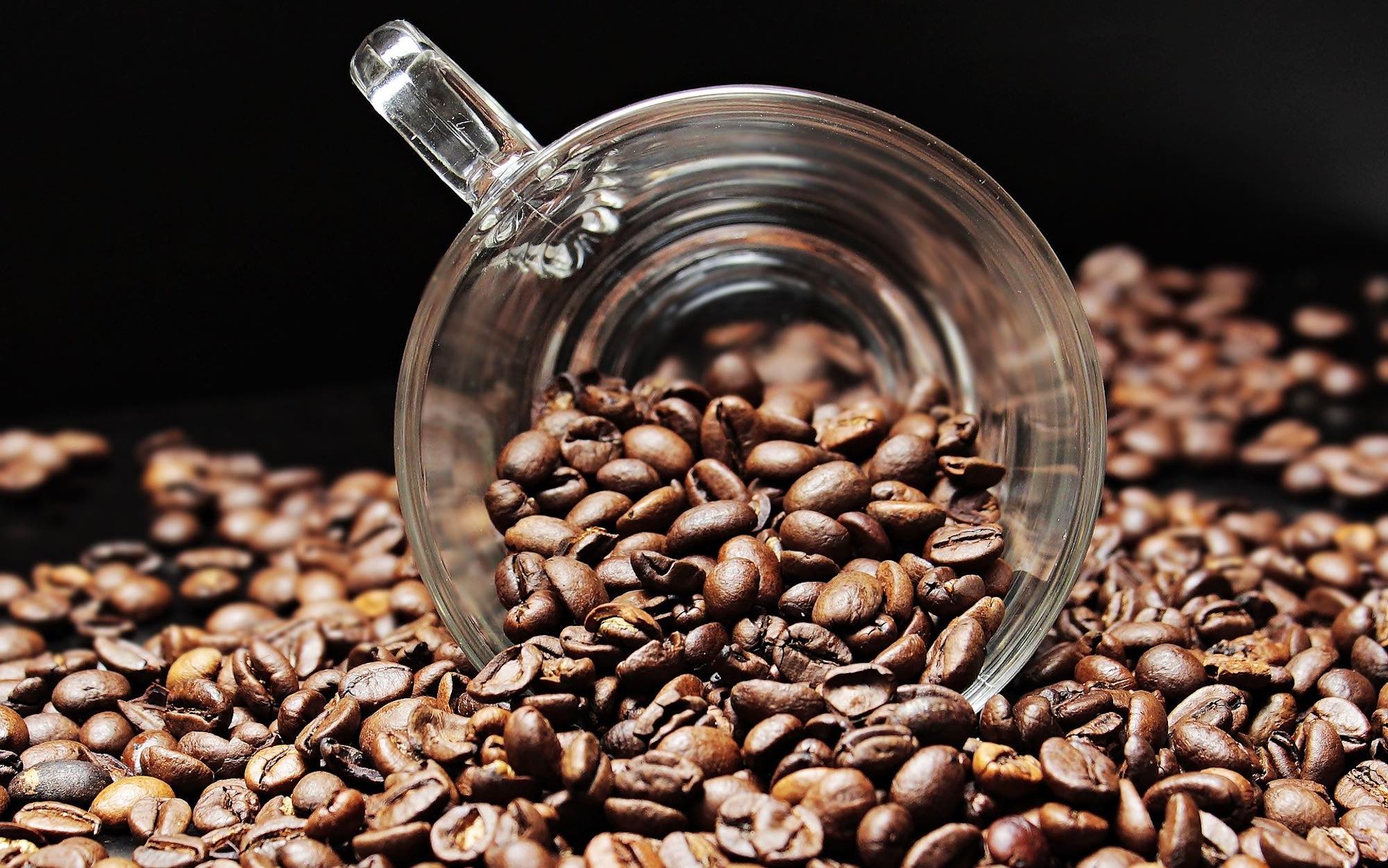 US$213 millones en divisas deja el café a Honduras en inicio de año