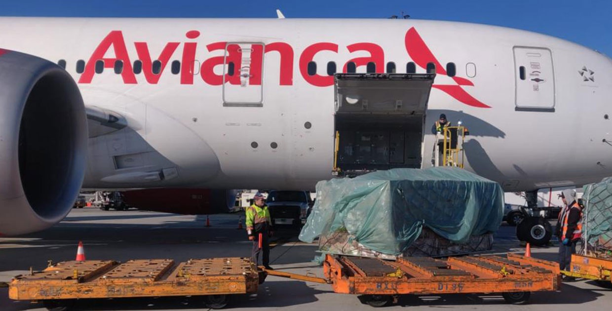 Avianca realiza su primer vuelo de carga en un B787, antes dedicado al transporte de pasajeros