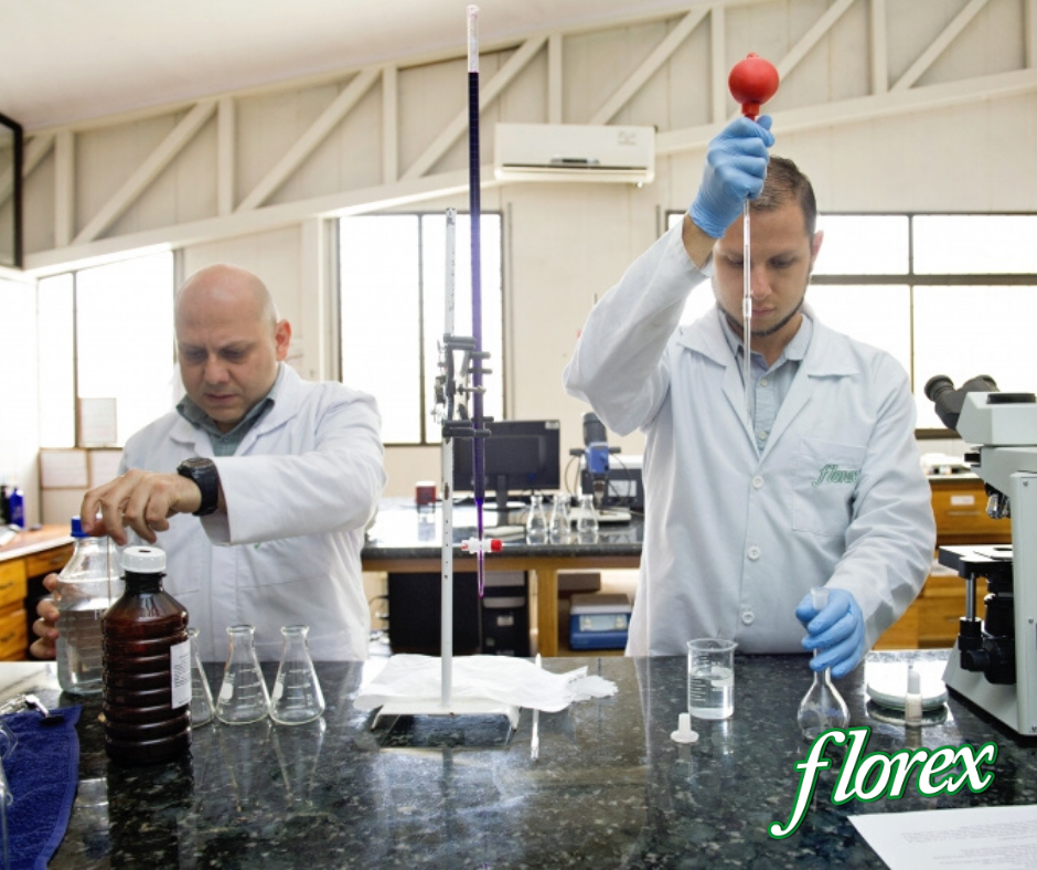 Leyendo las etiquetas: ¿qué materias primas debería buscar en productos de limpieza?