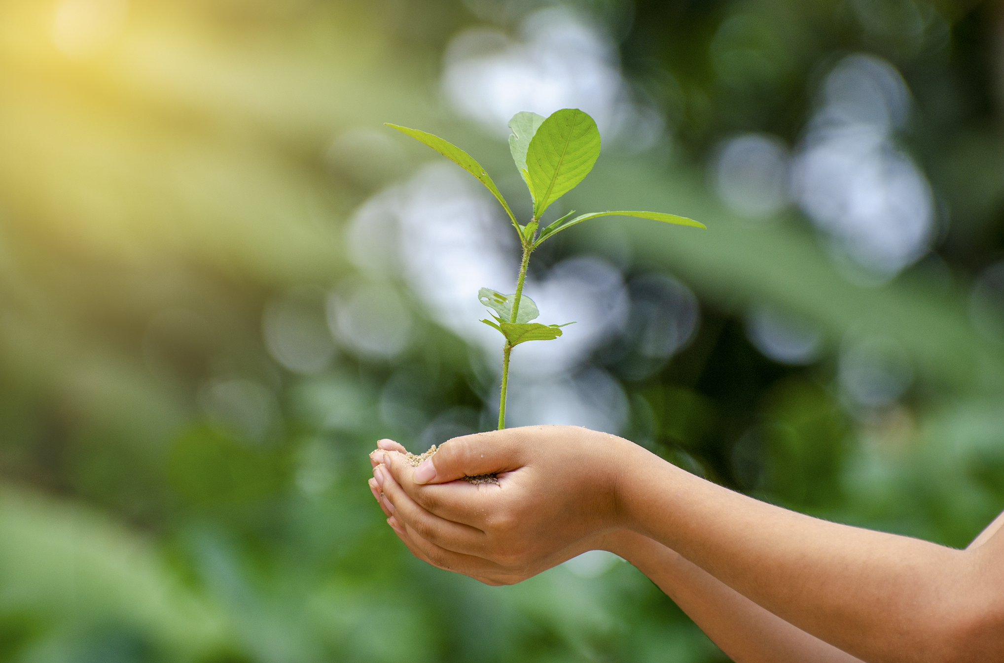 Nestlé se une a más 150 transnacionales para impulsar una recuperación posCOVID-19 alineada al combate del cambio climático