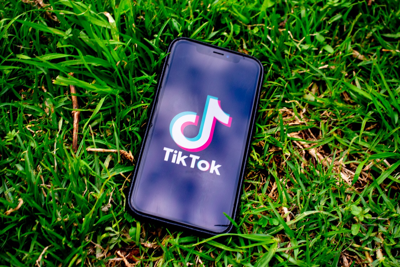 TikTok movió al mundo en 60 segundo en un año de pandemia