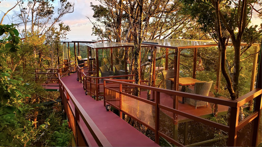 Nuevo concepto San Lucas Dining Experience le invita a vivir lo mejor de la gastronomía en Monteverde