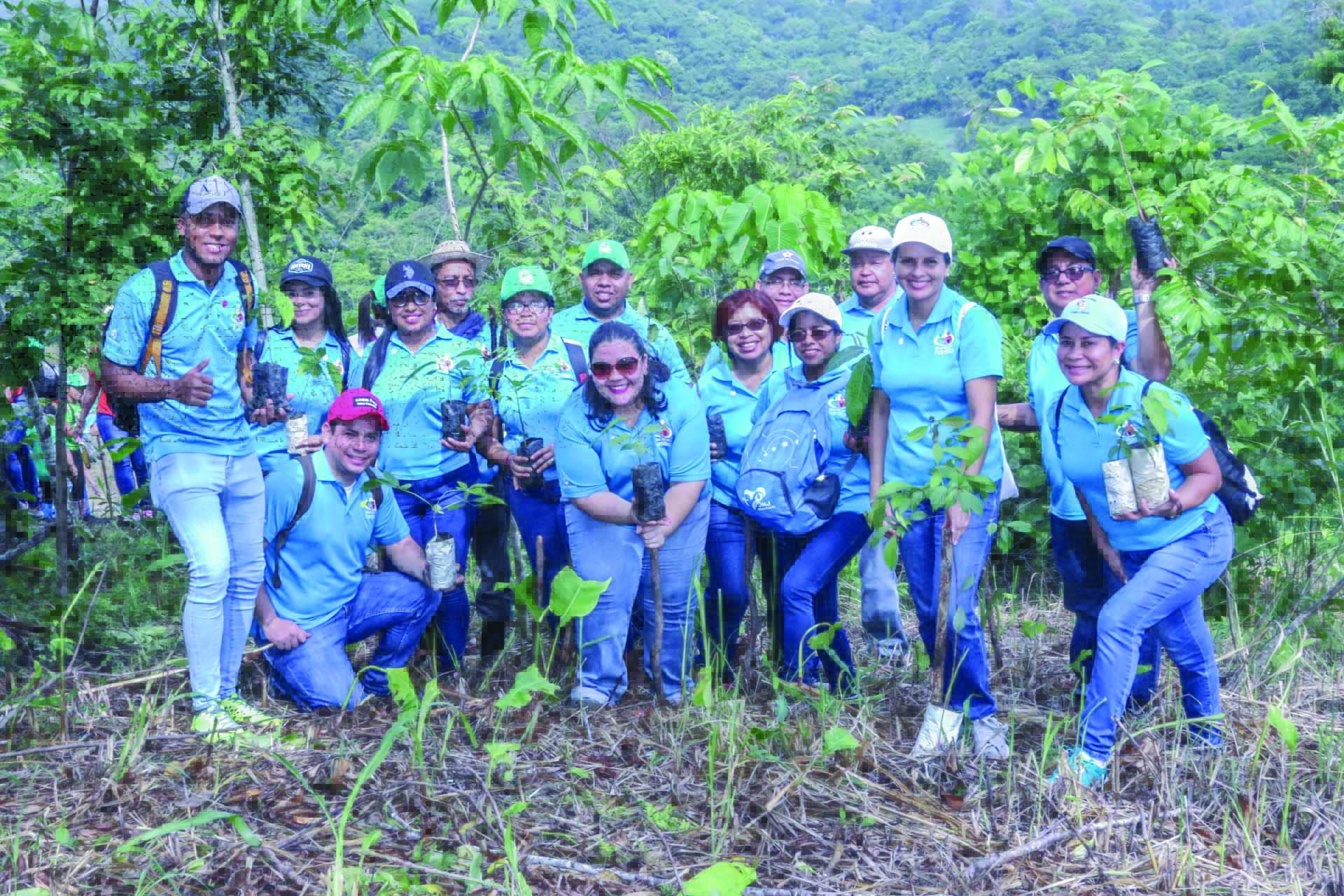 Caja de Ahorros, Un banco sostenible y con propósito social