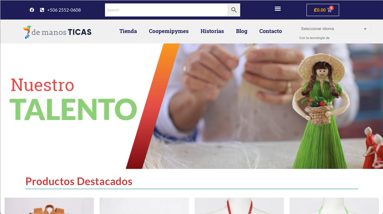 Artesanos costarricenses cuentan con tienda en línea para vender sus productos