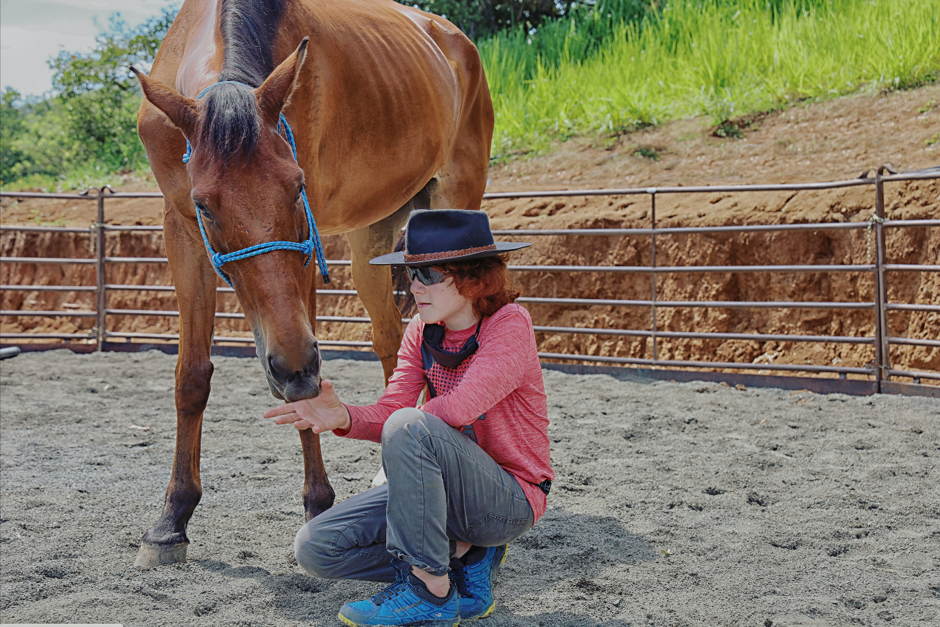 Aprendizaje con caballos deja grandes enseñanzas a toda la familia
