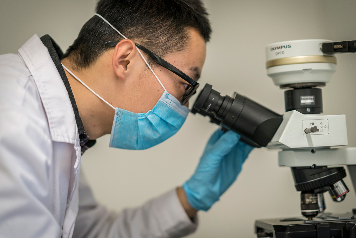 Estudios recientes revelan  que es vital mantener los diagnósticos tempranos de cáncer durante la pandemia