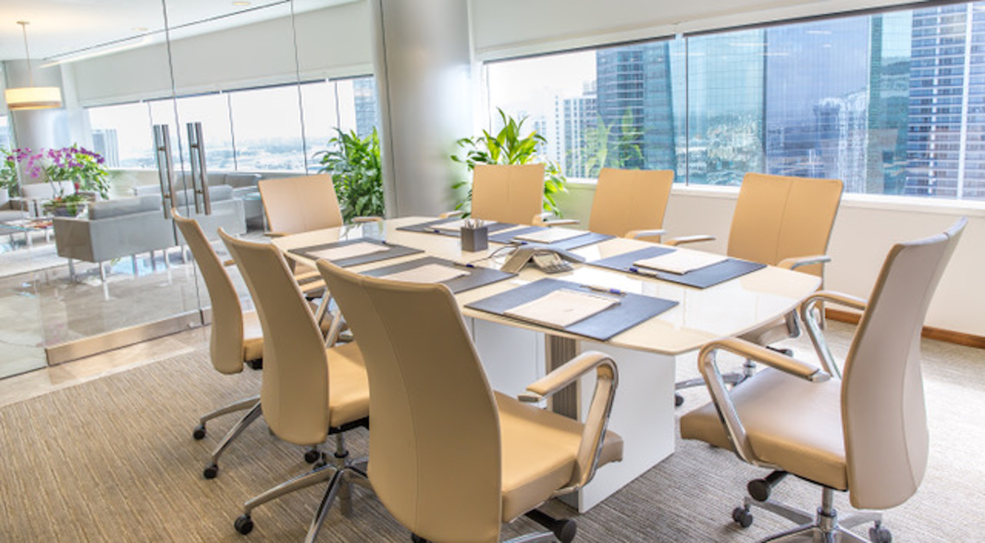 Marta Colomar-Garcia, fortaleza y experiencia en el campo legal