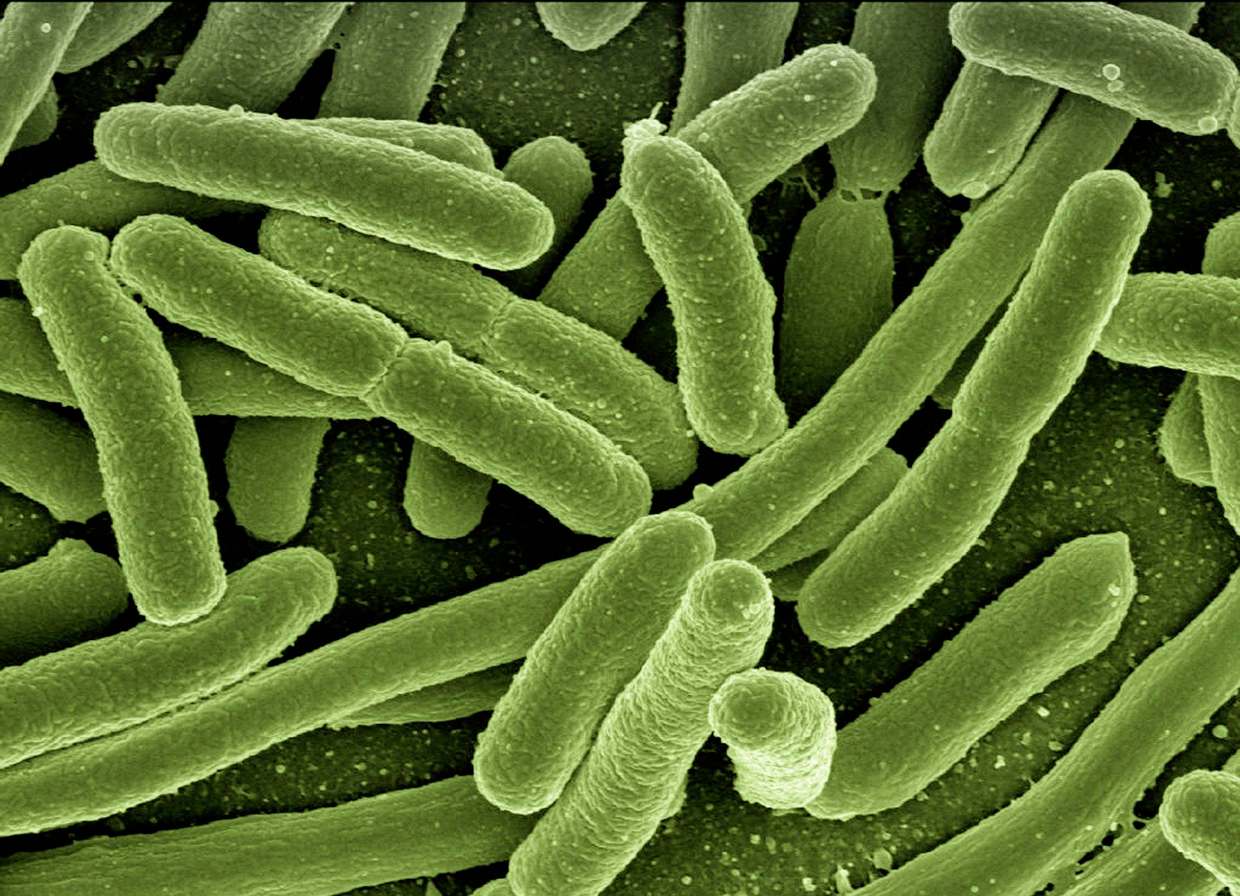 Pandemia agrava resistencia a los antibióticos