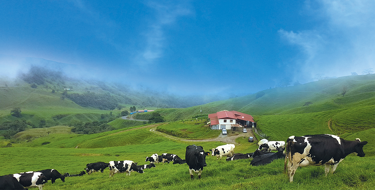 DOS PINOS, Líderes en reputación corporativa