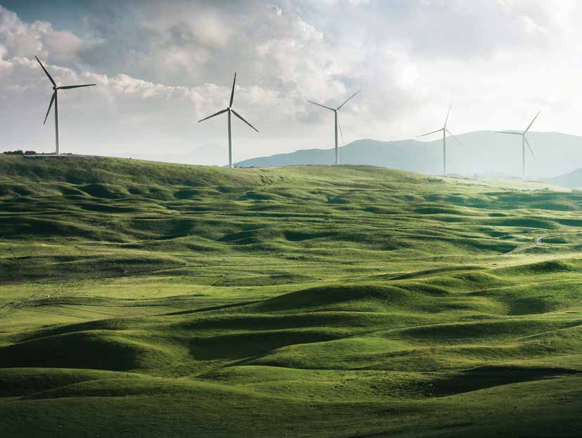 Energías renovables: hora de tomar una enérgica decisión