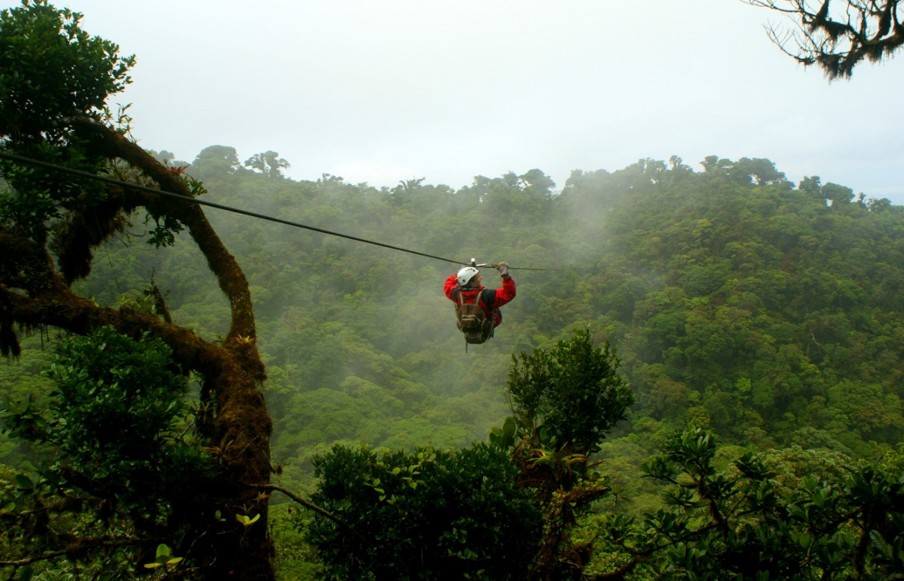 Monteverde invita a turistas a explorar su bosque nuboso en estas vacaciones