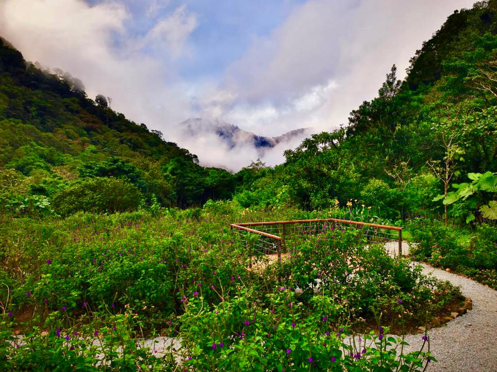 Hotel costarricense implementa tres iniciativas ambientales que contribuyen a la preservación del  bosque nuboso y su ecosistema