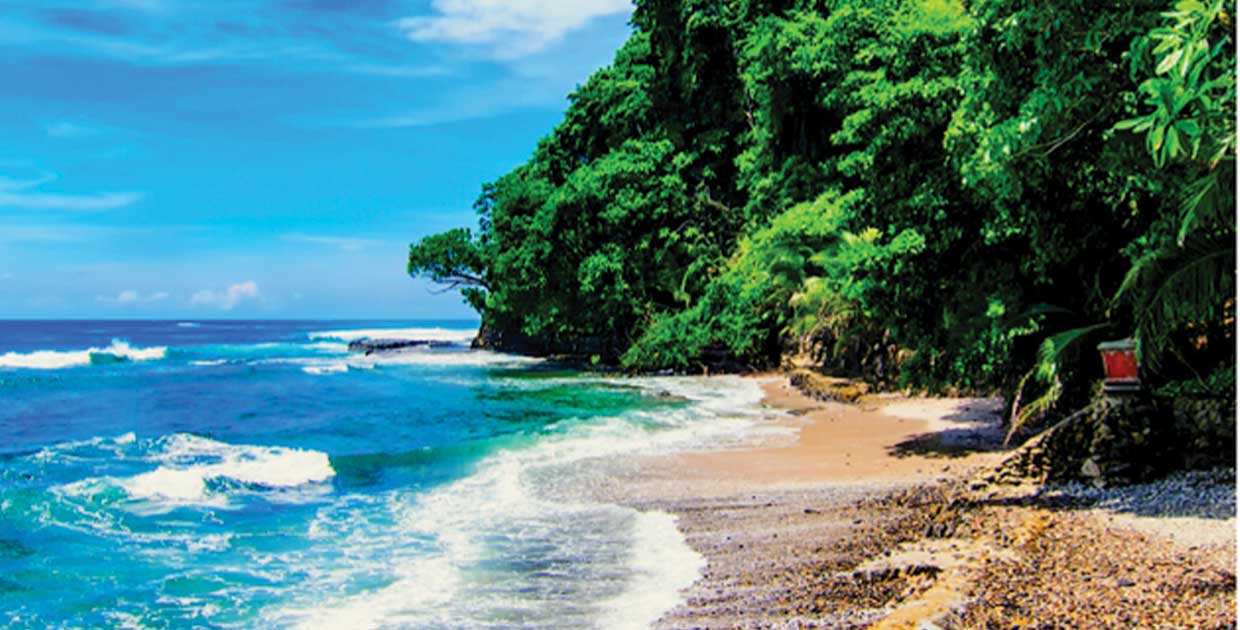 Sagicor,  Líder en seguros para turistas