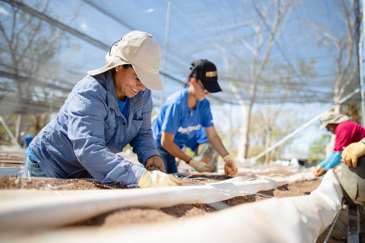Costa Rica: Huerta genera empleo y empodera a mujeres guanacastecas