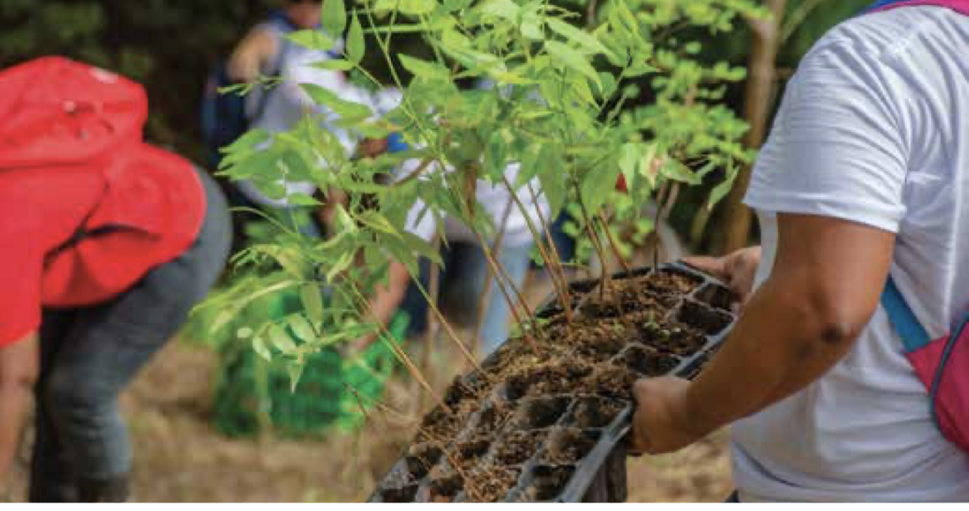 COCA-COLA, Lanza ambiciosa meta para proteger el agua