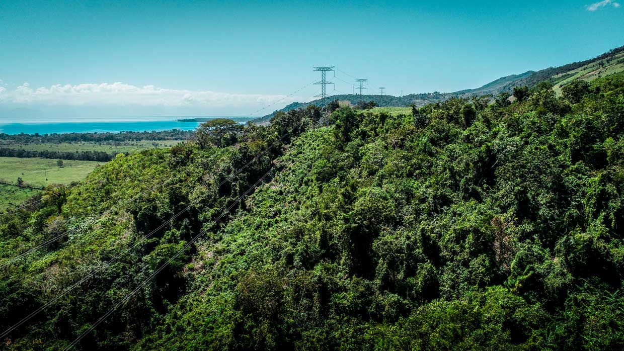 Logran conservar 32,2 hectáreas de bosque durante ejecución del Plan de Expansión de Transporte de Energía en Guatemala