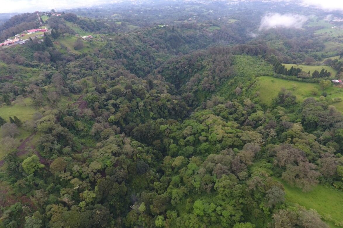 Intel invierte para restaurar 46 millones de galones de agua por año, parte de su consumo en Costa Rica