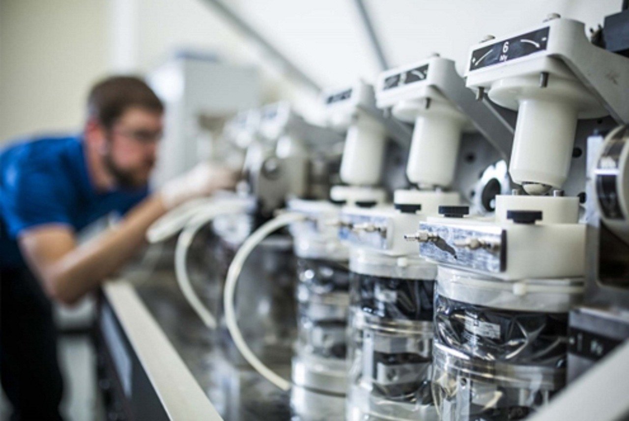 Costa Rica muestra dinamismo en exportaciones de bienes al crecer 10% en primer bimestre