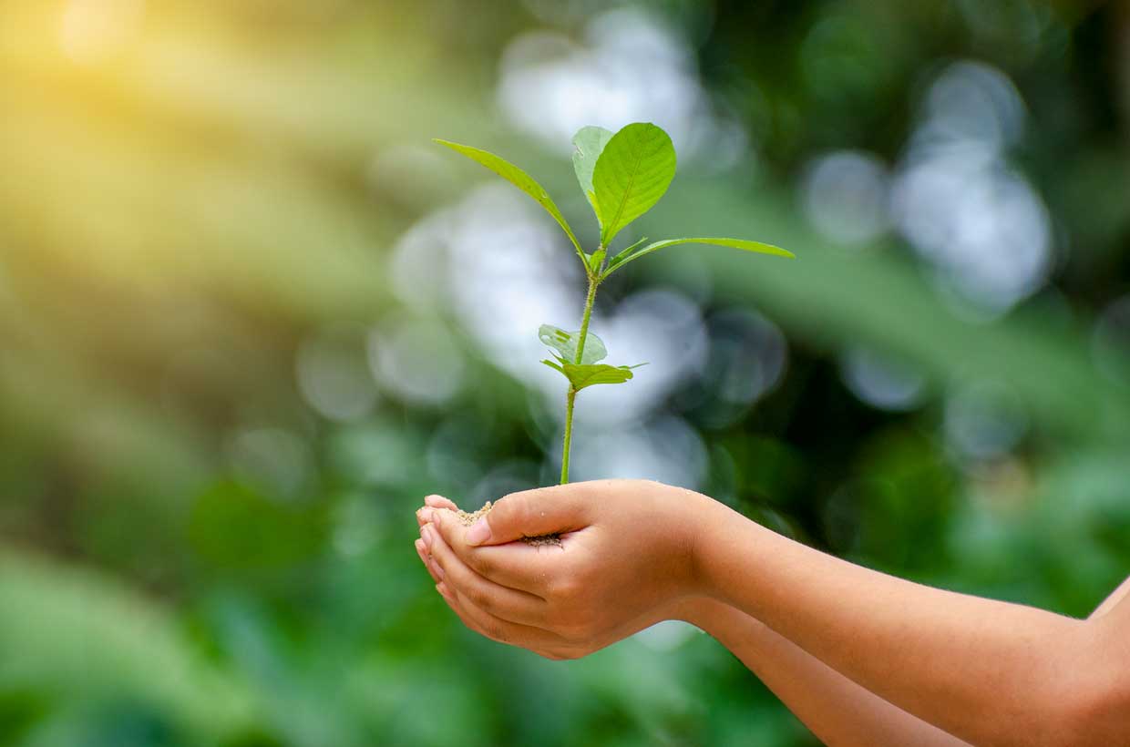 Nestlé Centroamérica asume el reto de inspirar un estilo de vida sostenible con su nueva iniciativa RE