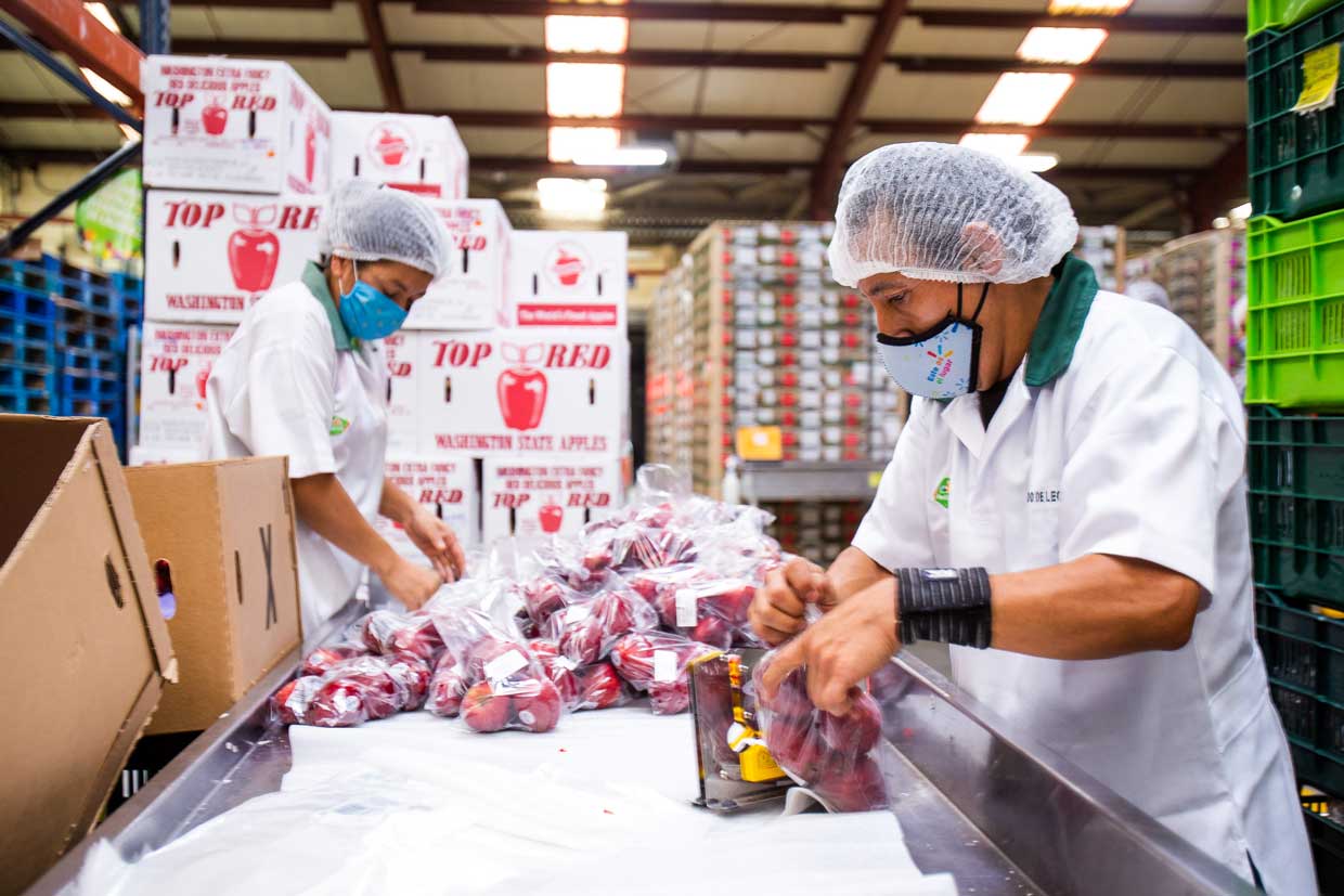 División agrícola de Walmart produce más de 4.000 empleos en Guatemala
