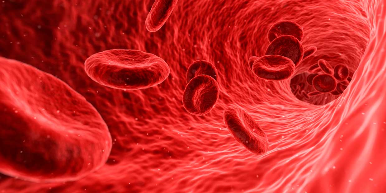 Siete factores que afectan la calidad de vida  de los pacientes con hemofilia