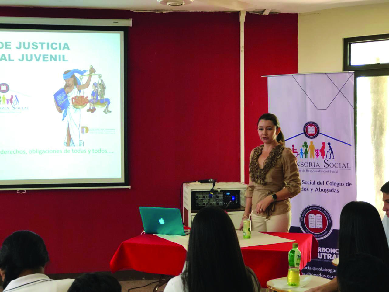 Colegio de Abogados y Abogadas de Costa Rica, Impacto social a través de la justicia