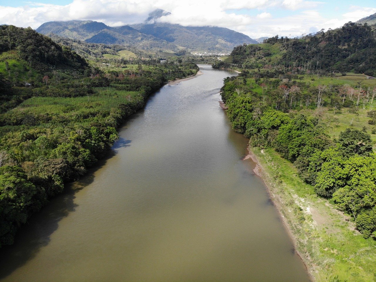 La Amazonía perdió 2,3 millones de hectáreas en 2020