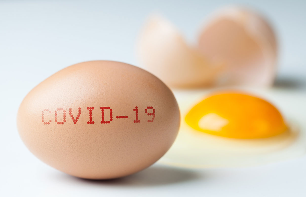 El huevo le ayuda a cubrir las necesidades diarias de vitamina D