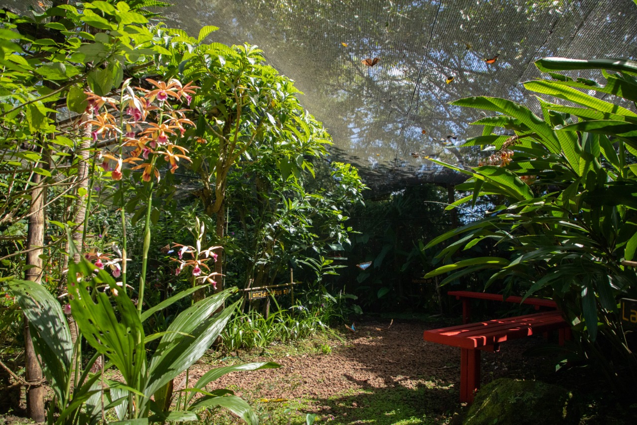 Costa Rica implementa instrumento para enverdecer  y proteger flora y fauna en zonas urbanas de la GAM