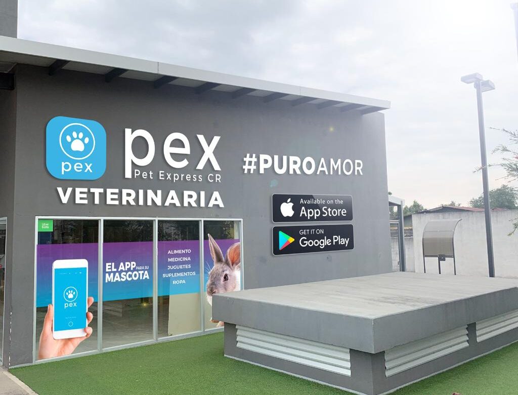 Primera aplicación móvil para mascotas en Costa Rica cumple un año en el mercado
