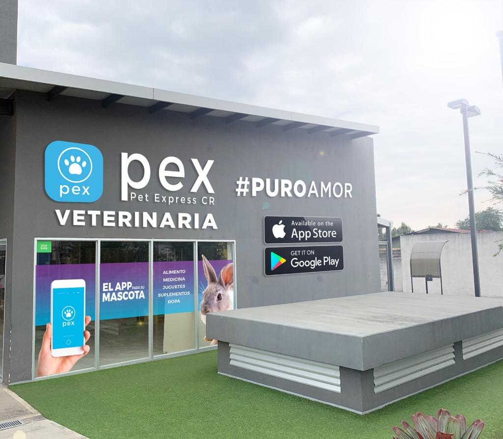 Primera aplicación móvil para mascotas en Costa Rica cumple un año en el mercado