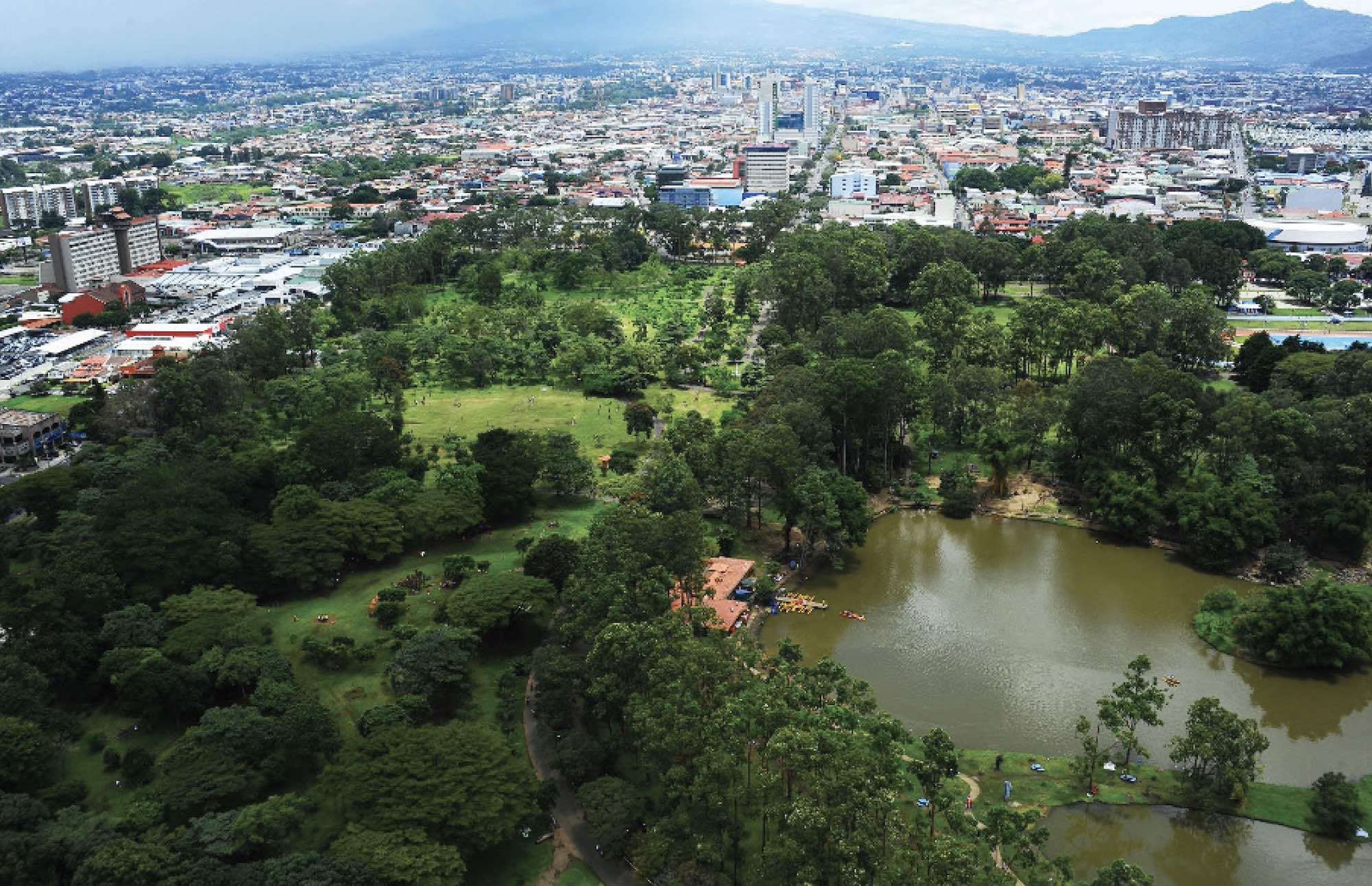 Finalizan proyecto de rearborización en el principal parque urbano de San José