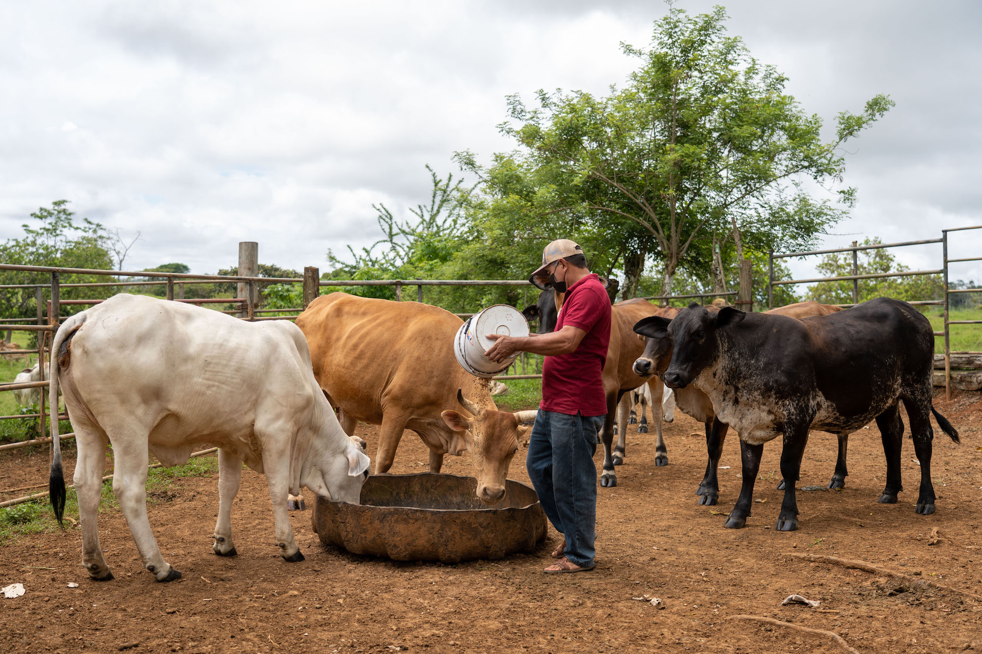 ¿Cuáles barreras enfrentan los microempresarios panameños?
