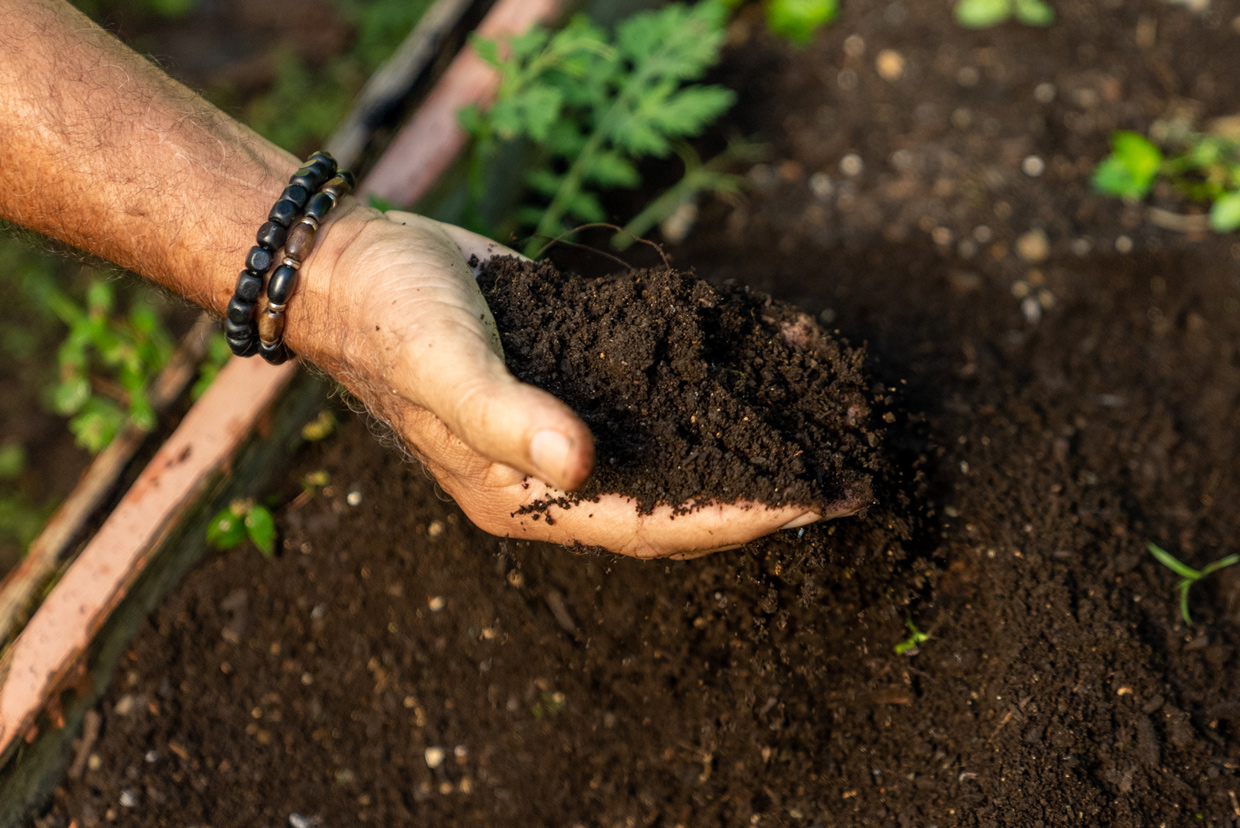 Ford celebra 20 años propulsando la sustentabilidad a través de su programa Donativos Ambientales Ford