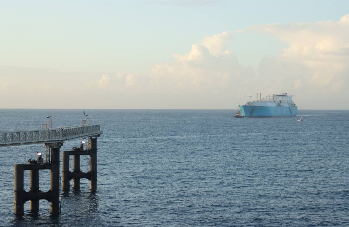 República Dominicana recibió más de 16 000 cruceristas en un mismo día