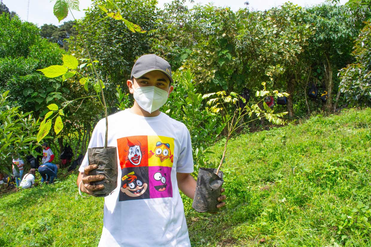 McDonald’s planta 3.300 árboles en Guatemala