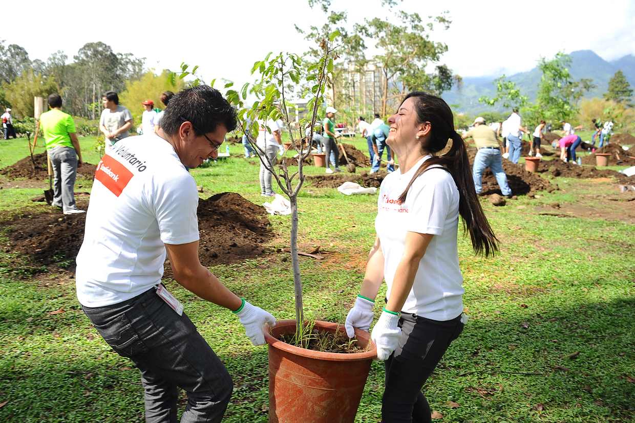 Costa Rica: Scotiabank recibe reconocimiento por proyecto de rearborización en La Sabana