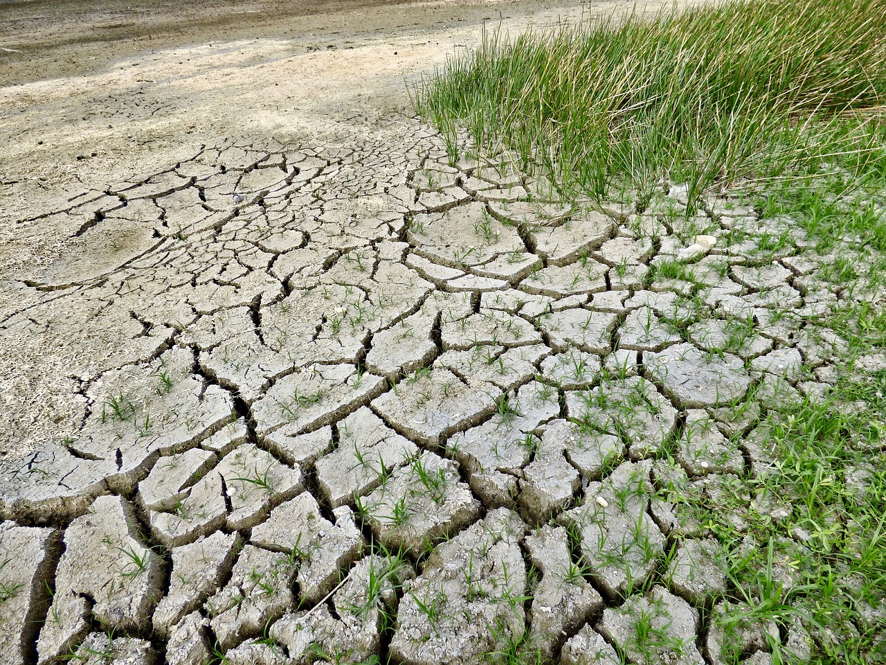 El cambio climático traerá más sequías para Centroamérica