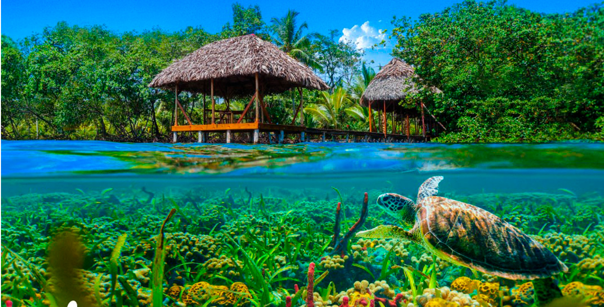 Copa Airlines y Promtur Panamá impulsarán la reactivación del turismo a través de Panamá Stopover